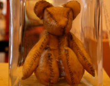 A teddy bear made from a placenta.