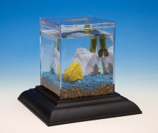 ecoaquarium